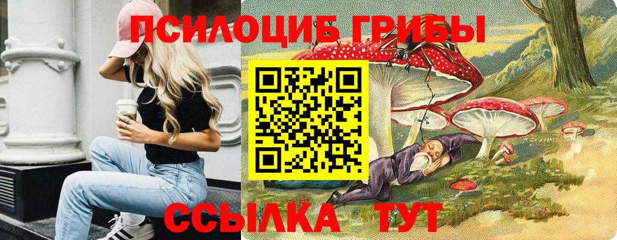 Асино  закладка  Вход с VPN  Галлюциногенные грибы Magic Shrooms 